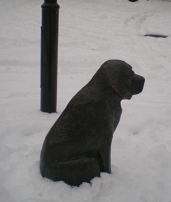 Hund i Kärrtorps centrum